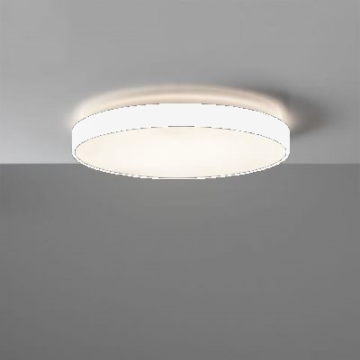 LED Deckenleuchte dir/ind. Ø60 weiß