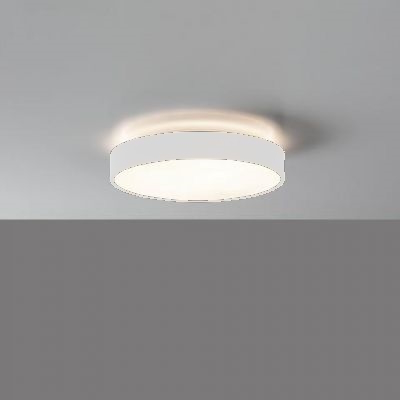 Plafoniera LED dir/ind. Ø40 bianco